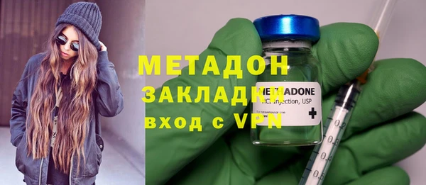 прущие грибы Верхний Тагил