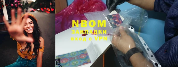 прущие грибы Верхний Тагил