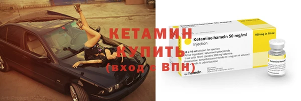 прущие грибы Верхний Тагил