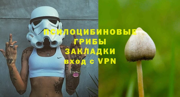 ALPHA-PVP Вяземский