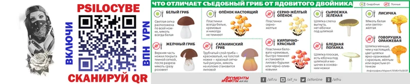 Галлюциногенные грибы Magic Shrooms Ейск