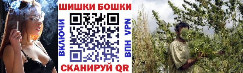 Канабис ГИДРОПОН Ейск